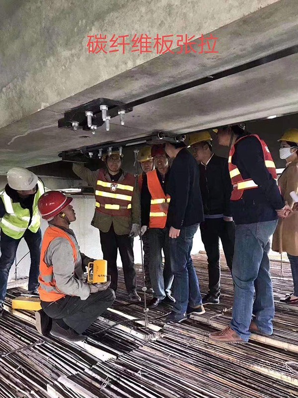 ̼�w�S�又��